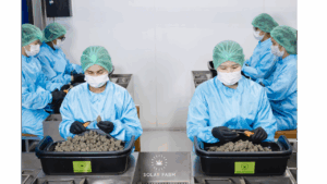 Proceed to checkout 1