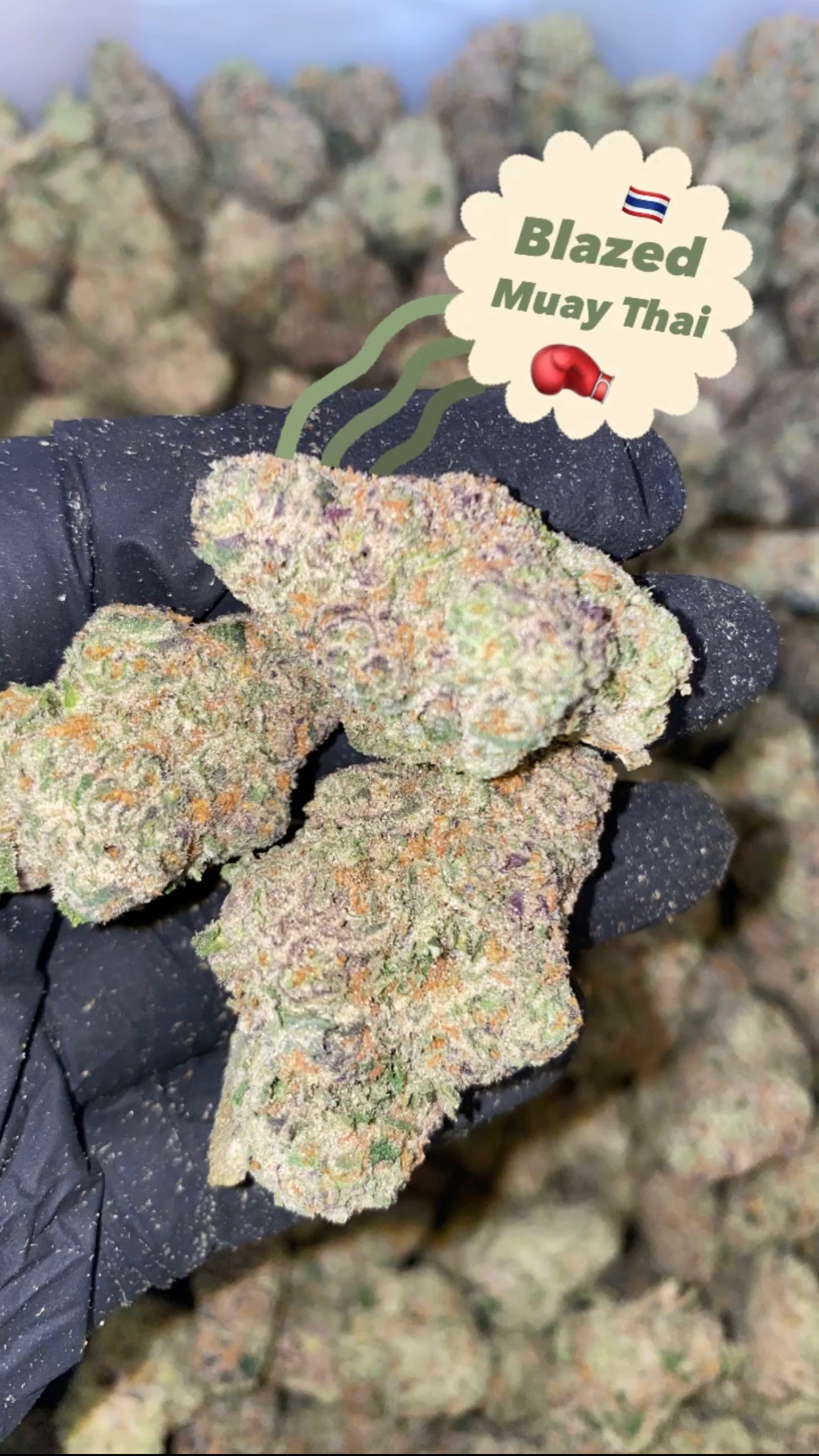 flowers Blazed Muay Thai