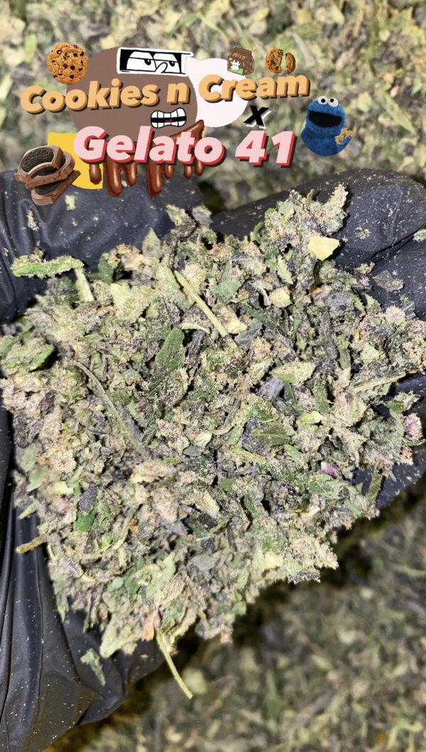 trims Cookies N Cream x Gelato 41