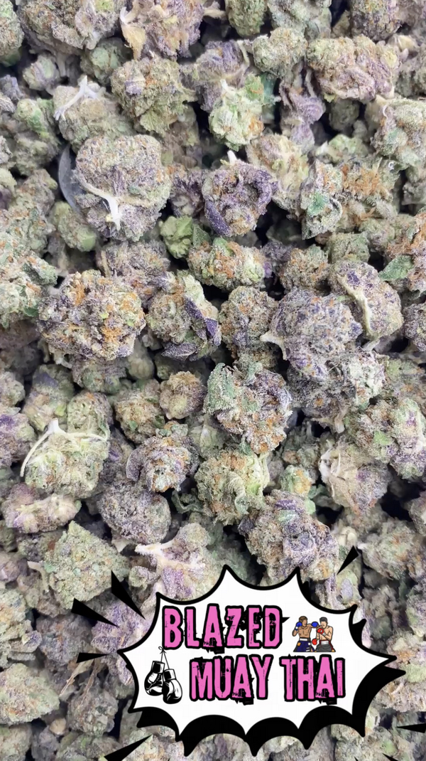 small flower Blazed Muay Thai