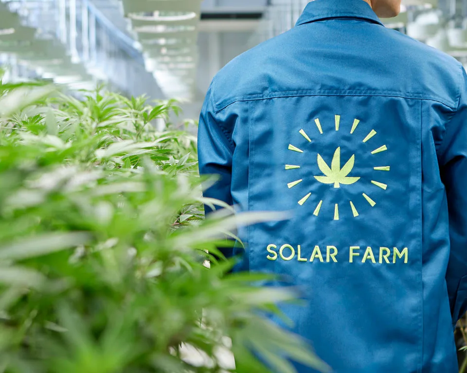 Grower in a blue Solar Farm branded jacket beside rows of cannabis plants in the indoor facility