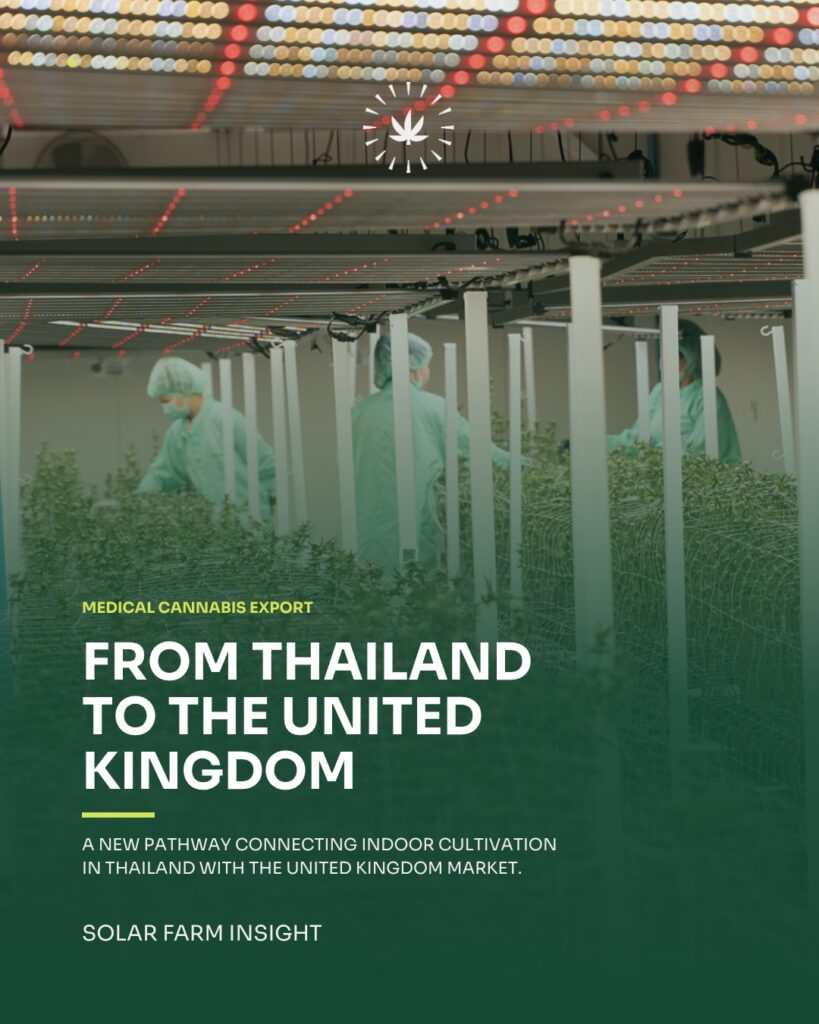 Solar Farm technicians in full PPE tending flowering cannabis plants under LED grow lights at the indoor medical cannabis facility in Pathum Thani, Thailand. Title card reads From Thailand to the United Kingdom.
