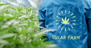 Solar Farm Thailand cultivation staff in a branded jacket beside indoor medical cannabis plants