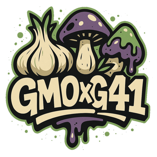 GMO x Gelato 41